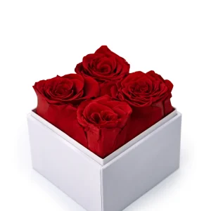 Forever Natural Flowers Gift Box White & Clear Acrylic Lid, 4Pcs Long Life Roses - Image 5